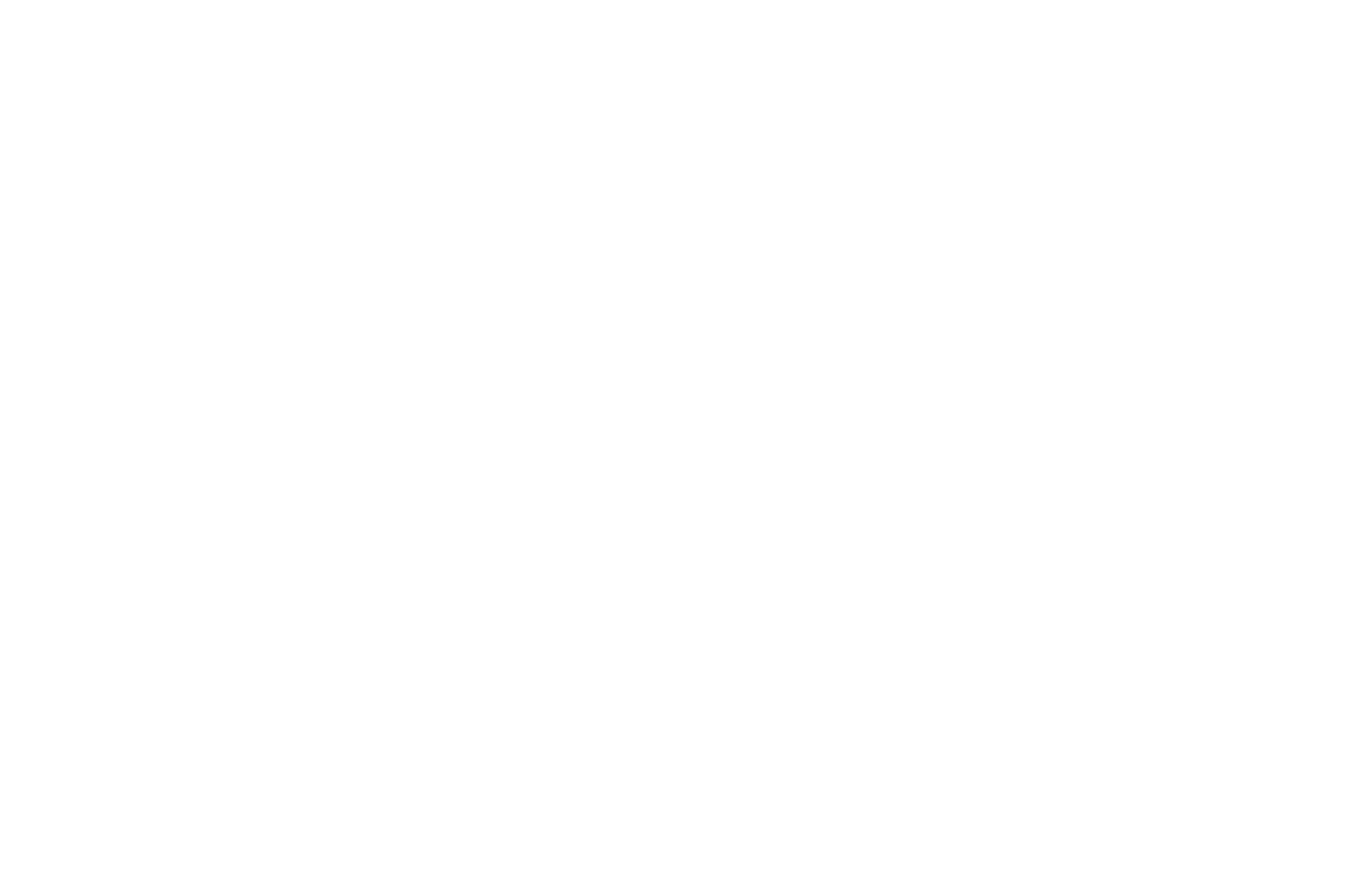 İkincilik Ödülü